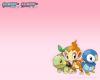 Pokemon 019